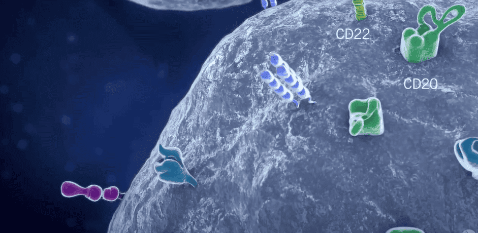 What is a clone number?