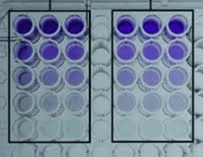 BCA Reaction Mechanism