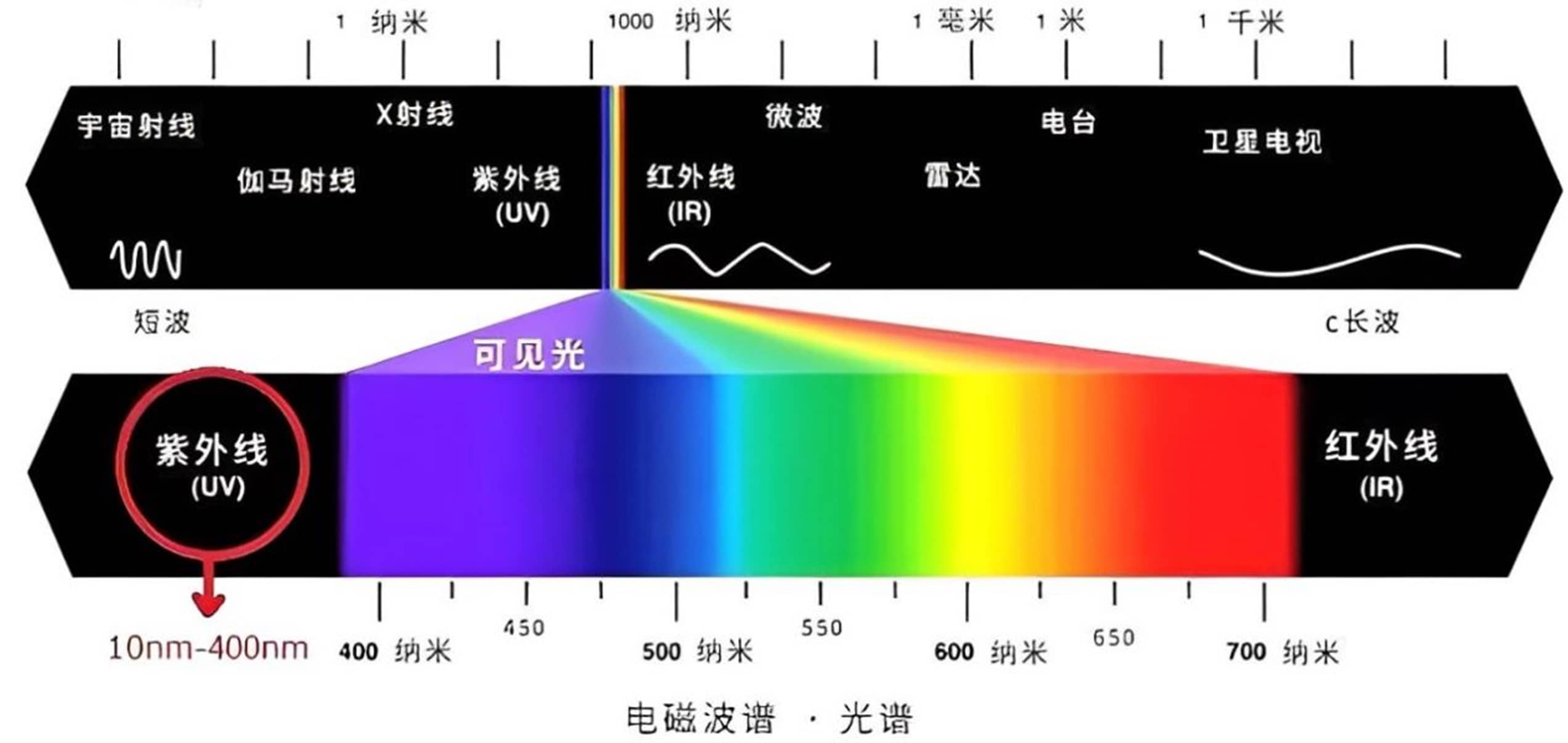 UV Spectrophotometry Principle