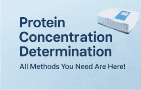 Protein Concentration Determination: All Methods You Need Are Here!