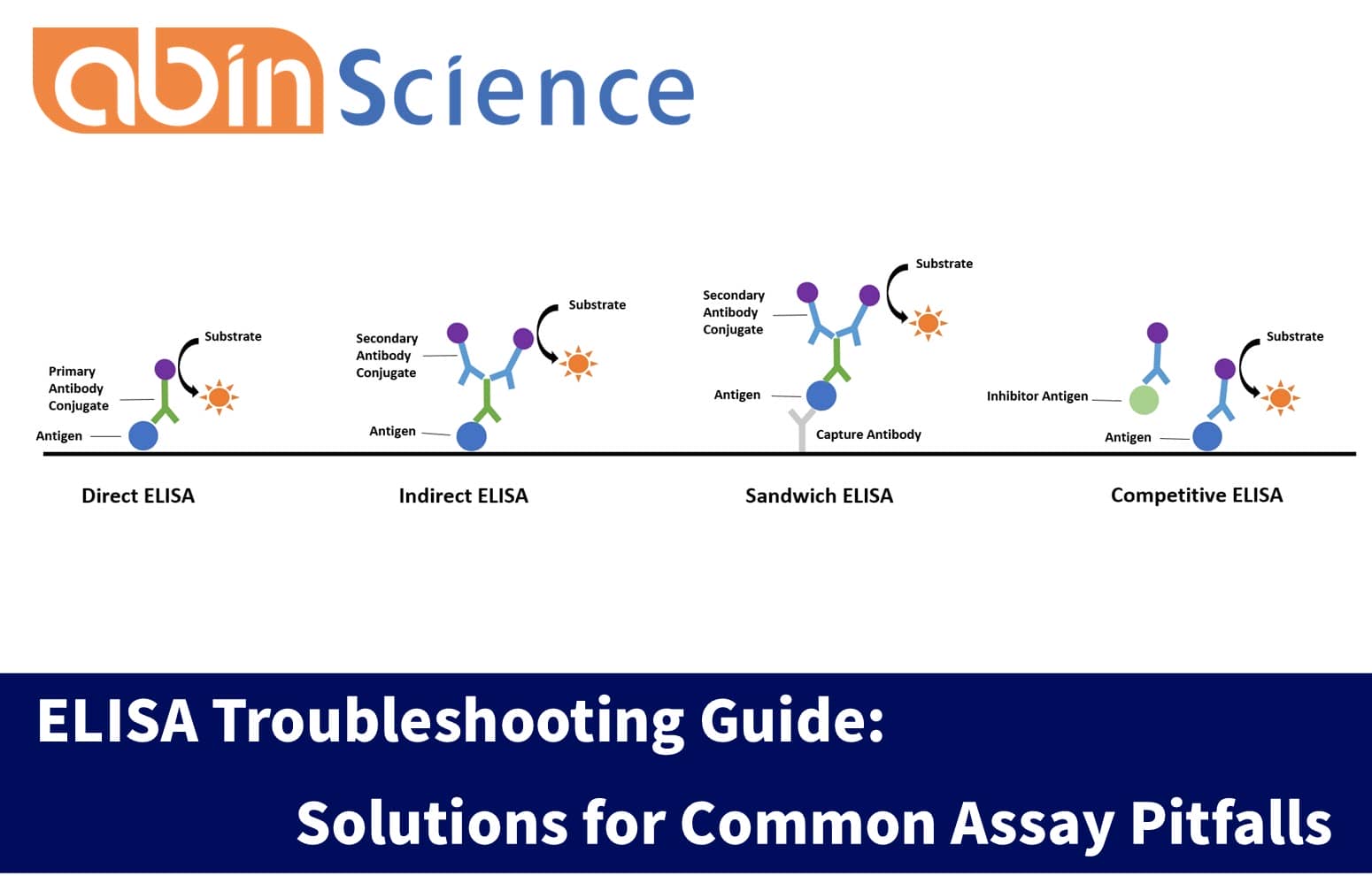 ELISA Troubleshooting Guide: Solutions for Common Assay Pitfalls