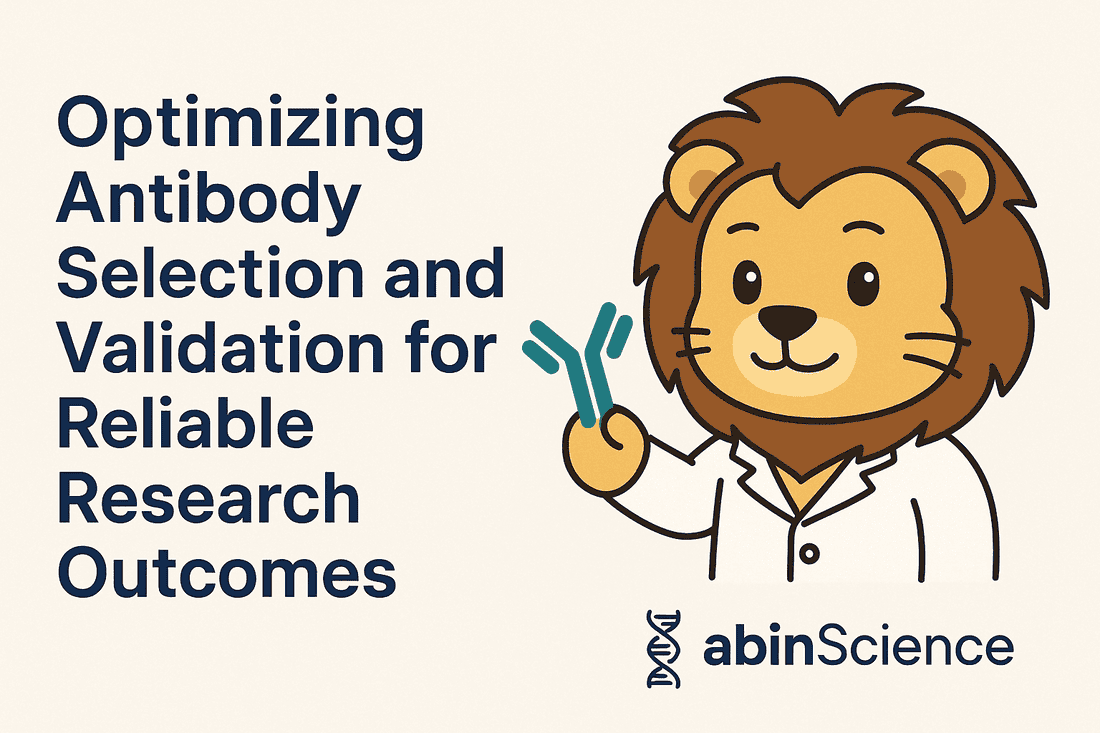 Optimizing Antibody Selection and Validation for Reliable Research Outcomes