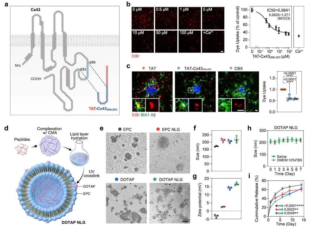 Lipid nanoparticle-based drug delivery system inhibits Cx43 hemichannel activity