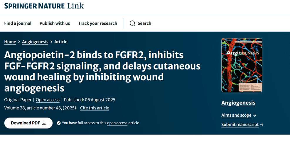 Angiopoietin-2 Binds to FGFR2, Inhibits FGF-FGFR2 Signaling, and Delays Cutaneous Wound Healing by Inhibiting Wound Angiogenesis