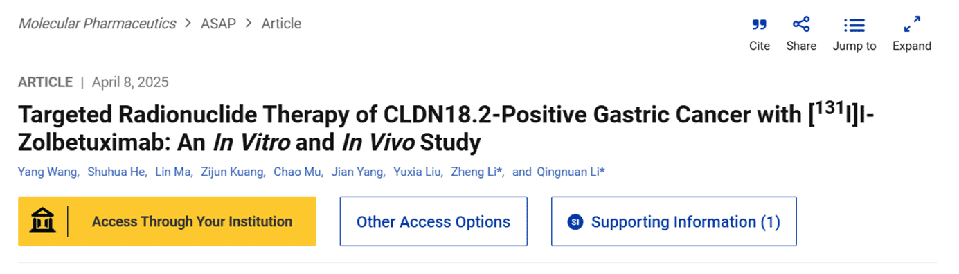 Targeted Radionuclide Therapy of CLDN18.2-Positive Gastric Cancer with [131I]I-Zolbetuximab: An In Vitro and In Vivo Study