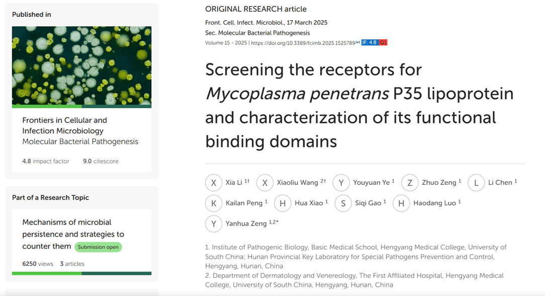 Screening the receptors for Mycoplasma penetrans P35 lipoprotein and characterization of its functional binding domains