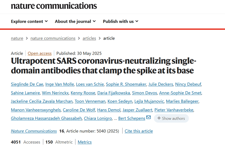 Ultrapotent SARS coronavirus-neutralizing single-domain antibodies that clamp the spike at its base