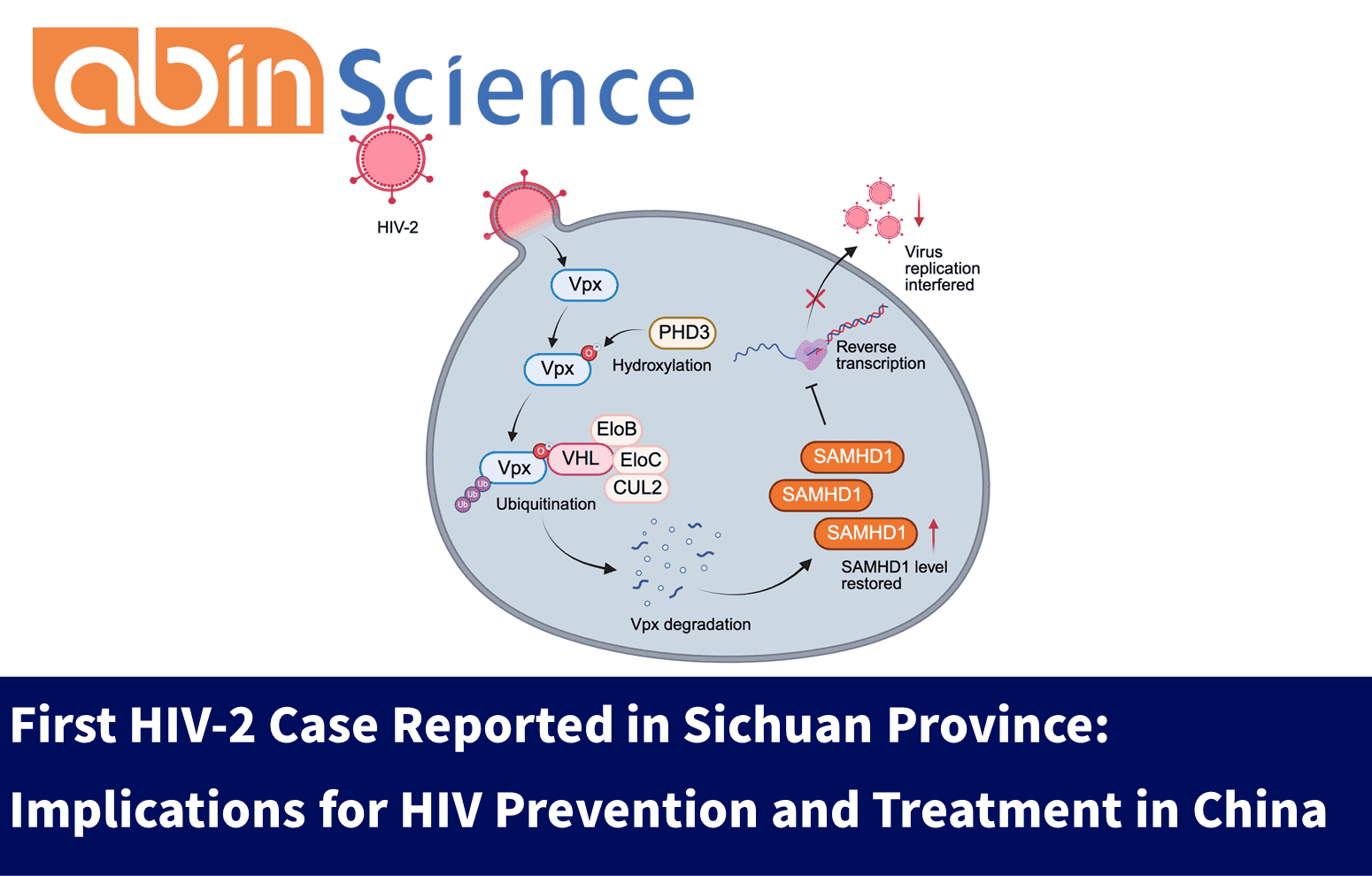 First HIV-2 Case Reported in Sichuan Province: Implications for HIV Prevention and Treatment in China