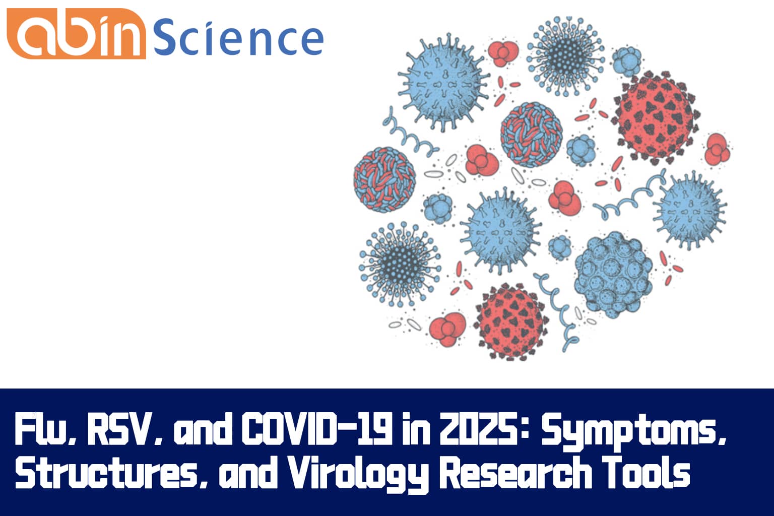 Flu vs RSV vs COVID-19 in 2025: Symptoms, Structures, and abinScience Reagents for Virology Research