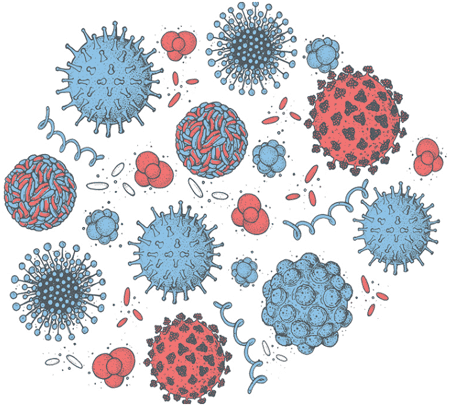 Virology Research Tools (Antibodies and Proteins, 2025)