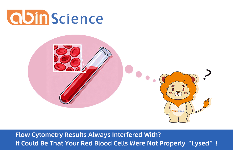 Flow Cytometry Results Always Interfered With? It Could Be That Your Red Blood Cells Were Not Properly “Lysed”!