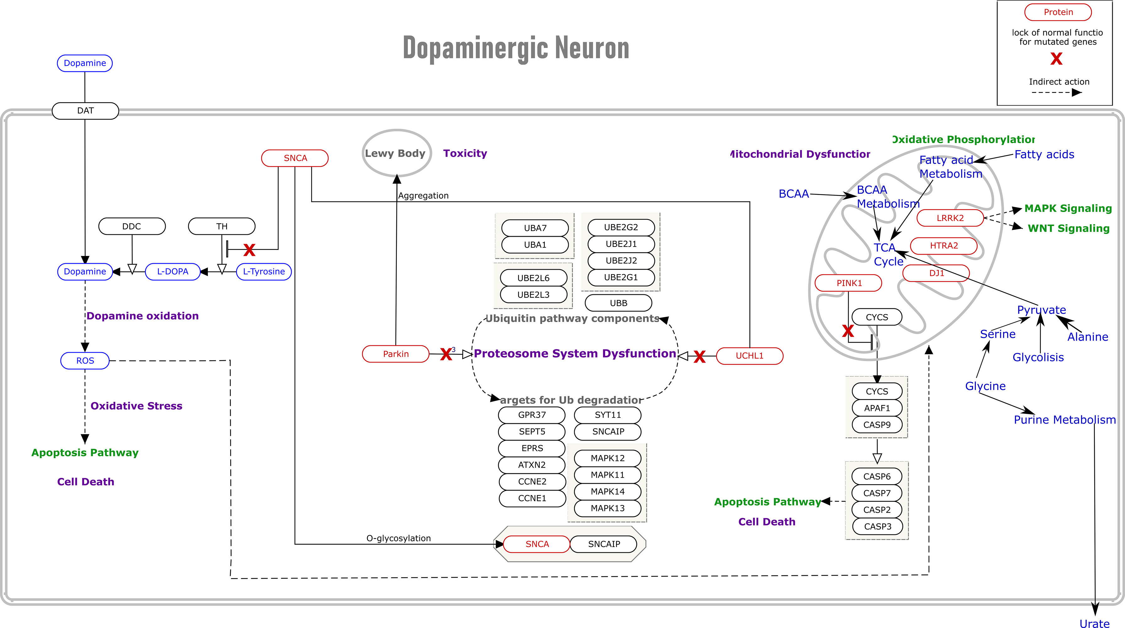 PD Molecular Pathway Integration