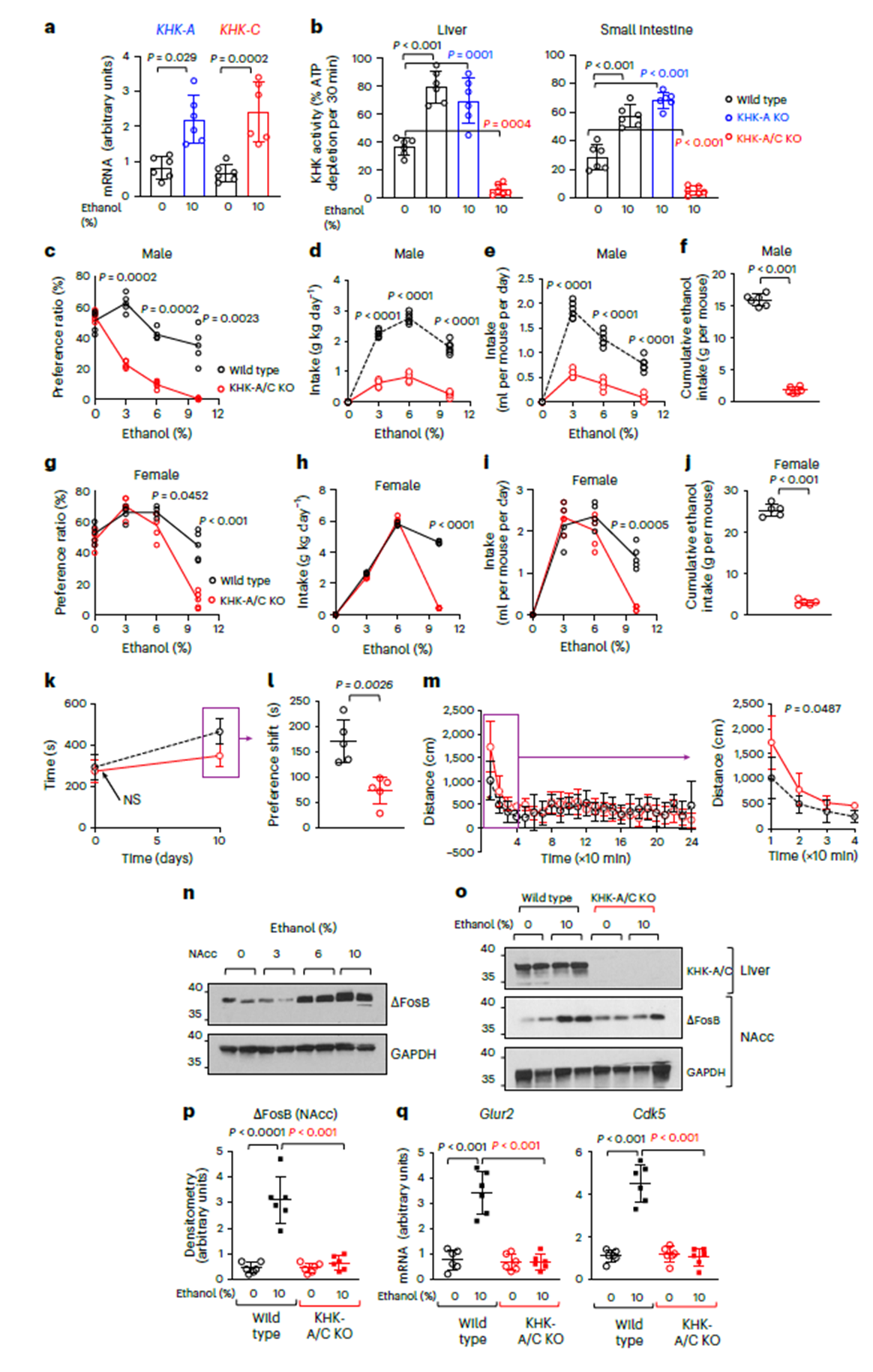 Endogenous fructose metabolism via KHK enhances ethanol intake and preference in mice