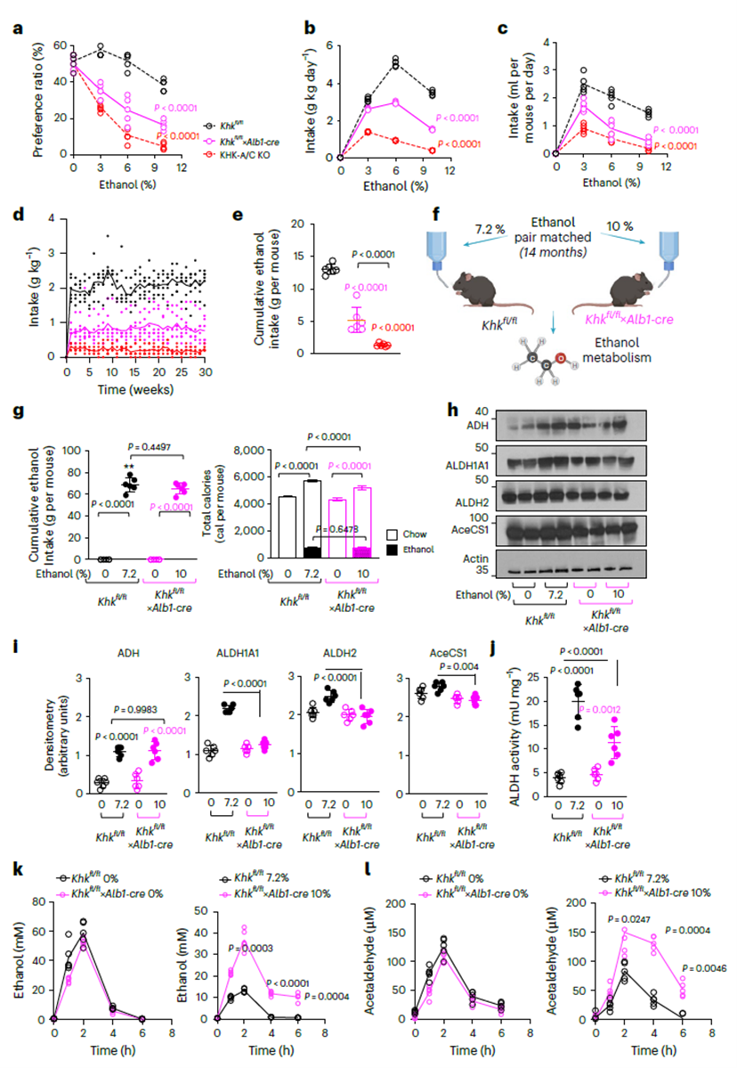 Liver-derived factors linked to endogenous fructose metabolism drive ethanol intake, preference, and metabolism