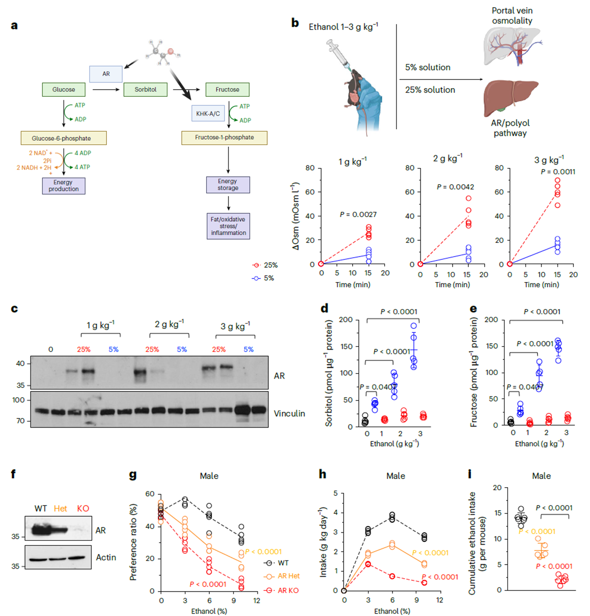Ethanol-mediated endogenous fructose production and phenotypic response