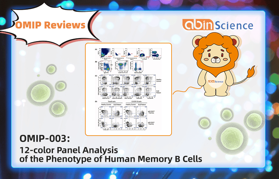 OMIP Reviews | OMIP-003: 12-colour Panel Analysis of the Phenotype of Human Memory B Cells