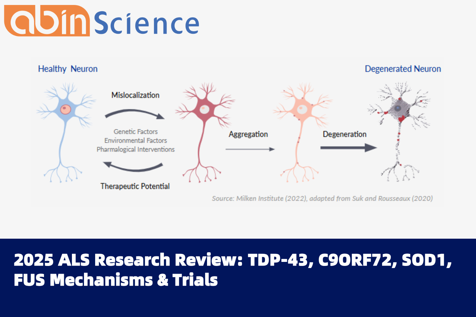 2025 ALS Research Review: TDP-43, C9ORF72, SOD1, FUS Mechanisms & Trials