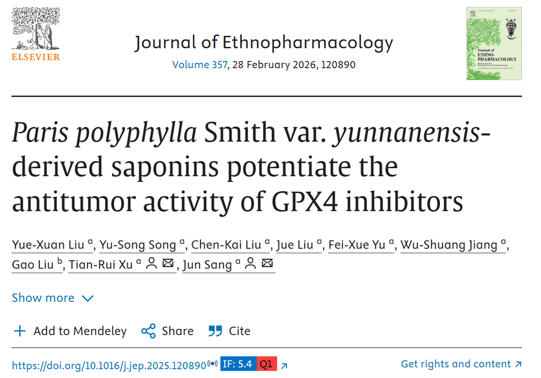 Paris polyphylla Smith var. yunnanensis-derived saponins potentiate the antitumor activity of GPX4 inhibitors