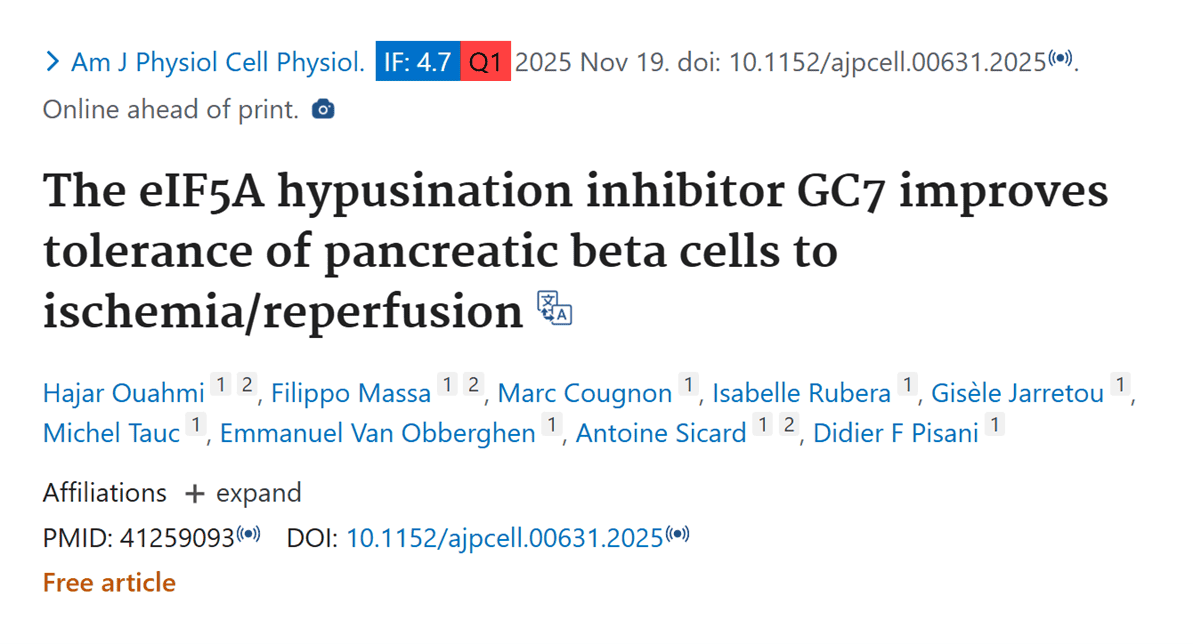  The eIF5A hypusination inhibitor GC7 improves tolerance of pancreatic beta cells to ischemia/reperfusion