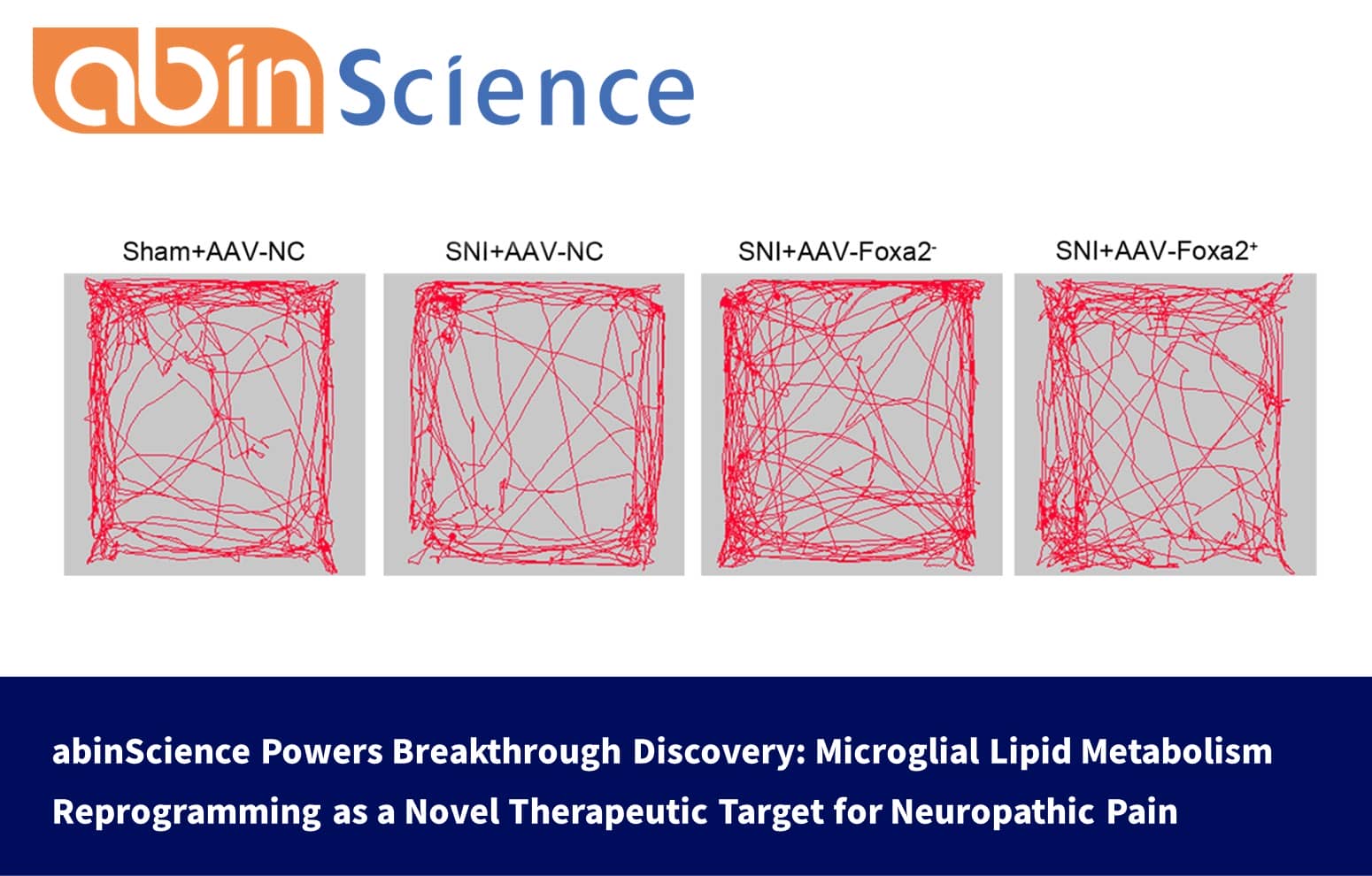 abinScience Powers Breakthrough Discovery: Microglial Lipid Metabolism Reprogramming as a Novel Therapeutic Target for Neuropathic Pain