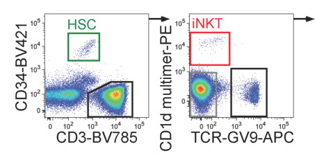 Delineation of Target Cell Populations