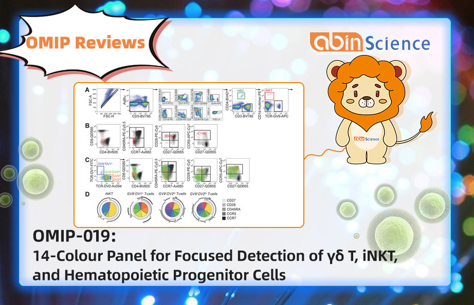 OMIP Reviews | OMIP-019: 14-Colour Panel for Focused Detection of &gamma;&delta; T, iNKT, and Hematopoietic Progenitor Cells