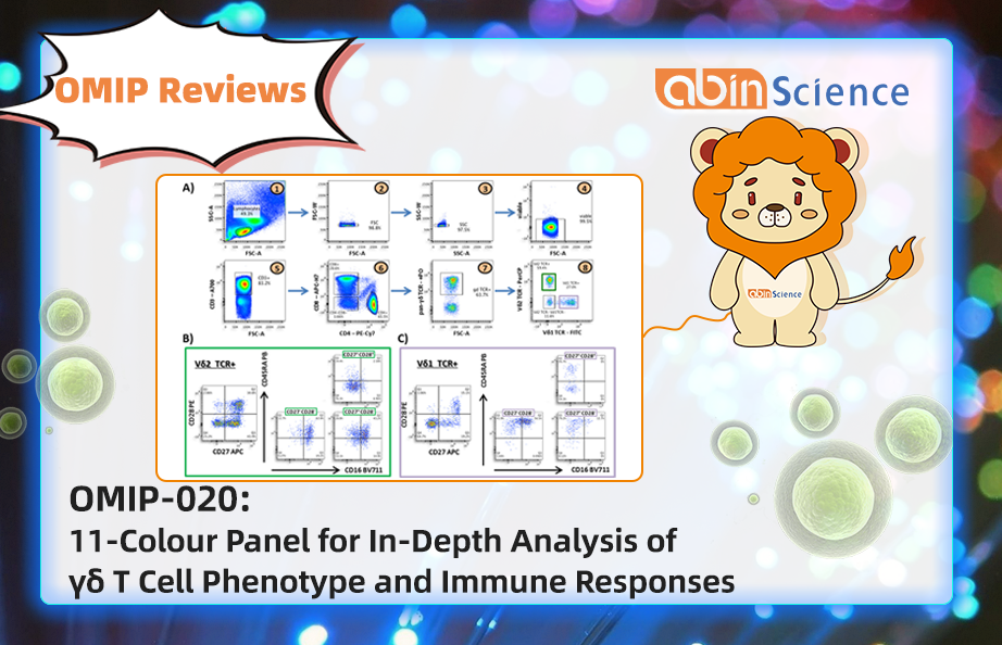OMIP Reviews | OMIP-020: 11-Colour Panel for In-Depth Analysis of &gamma;&delta; T Cell Phenotype and Immune Responses