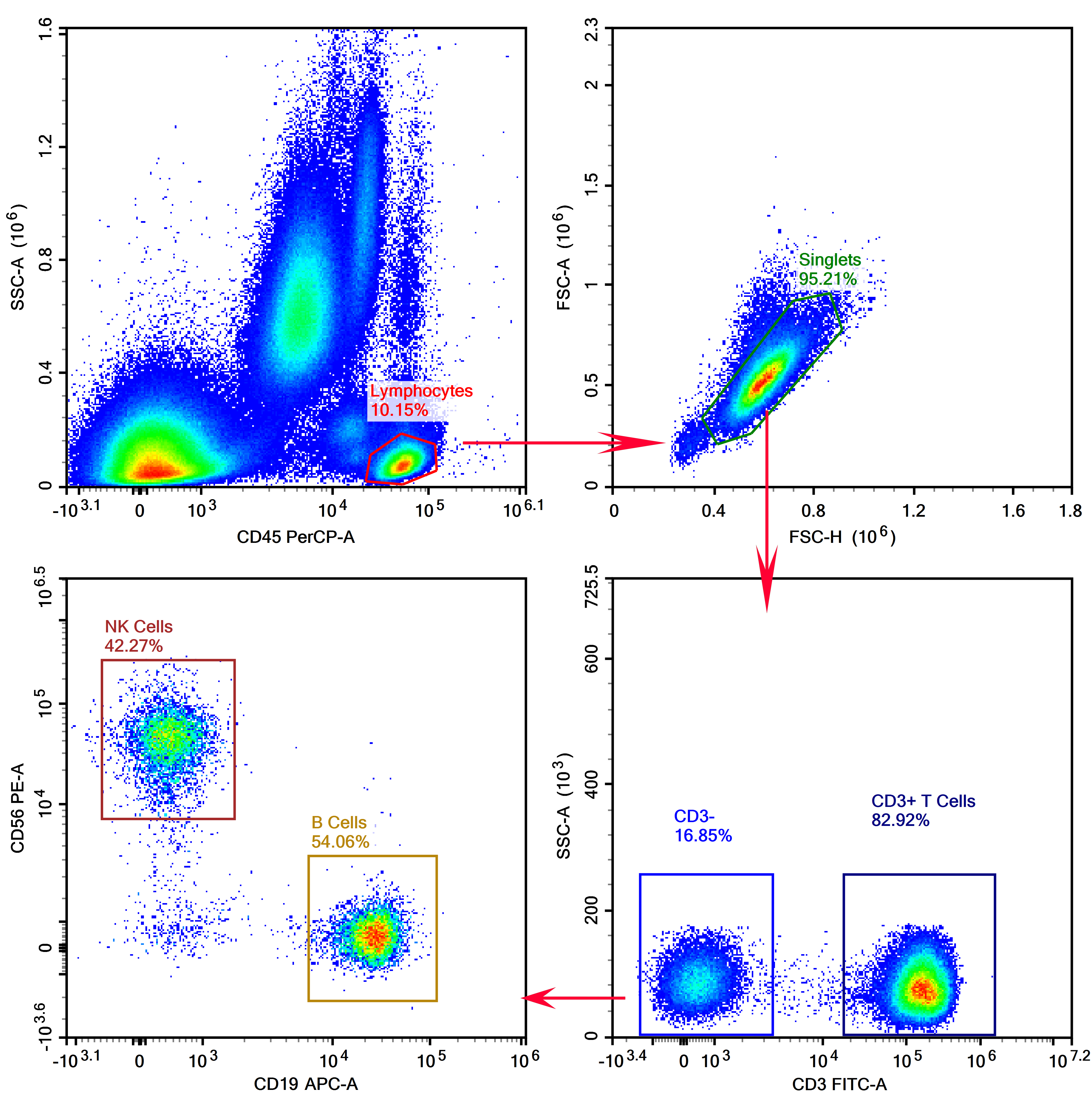 Results of T/B/NK Cell