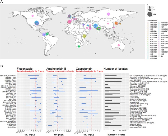 C. auris transmission logic: skin persistence, shedding, and environmental contamination in healthcare settings