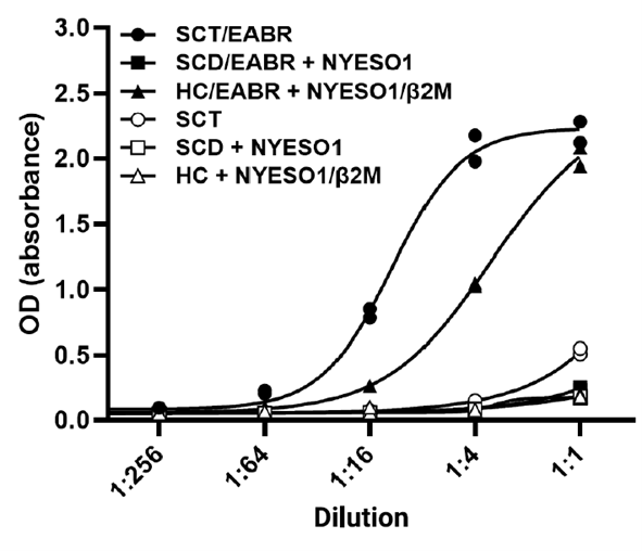 EABR addition to SCT pMHCI promotes budding of the complete, intended pMHCI complex on APVs