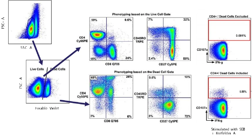 Nonspecific staining of Dead Cells