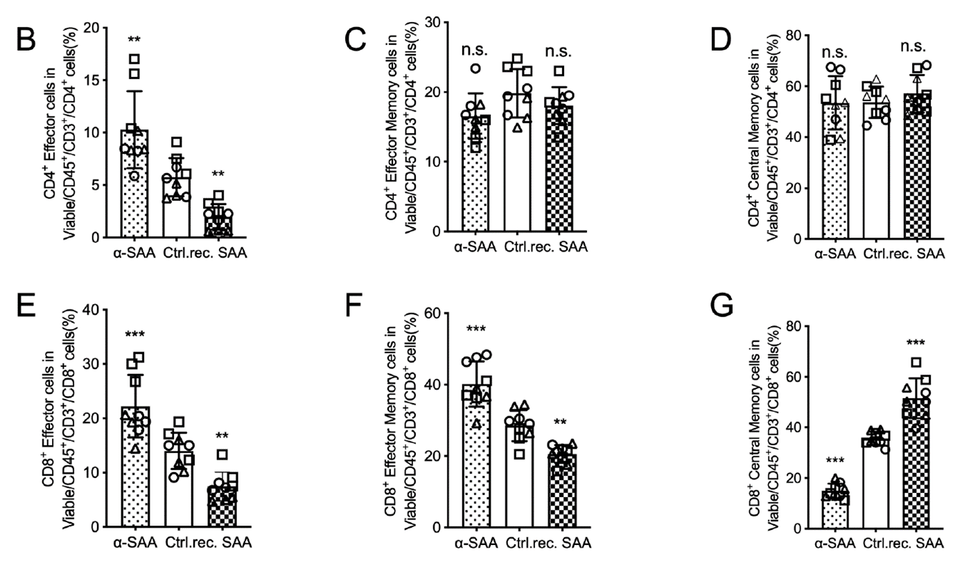 SAA exposure alters T cell subset distribution in tumor organoid co-cultures