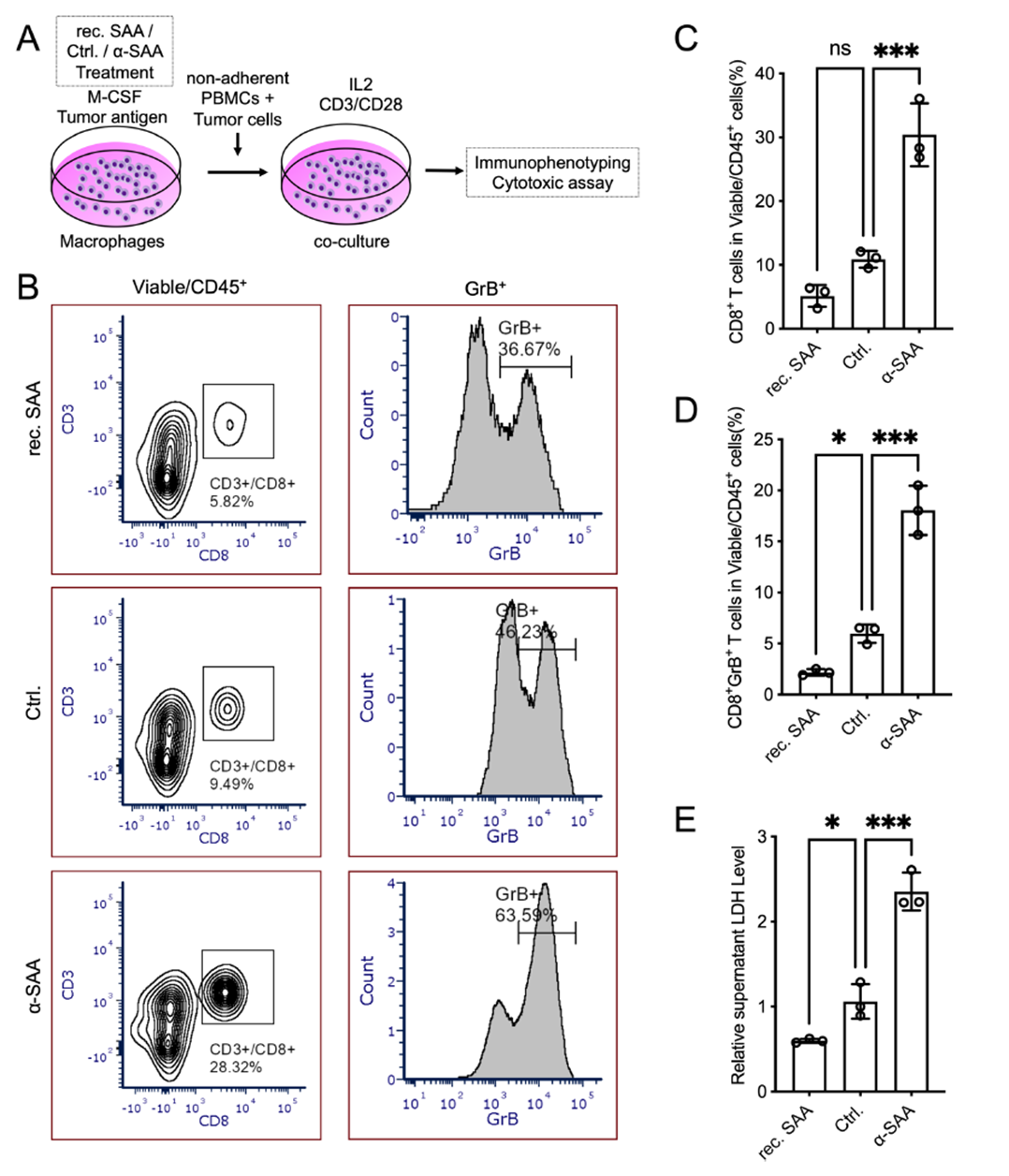 SAA-treated macrophages suppress T cell activation and cytotoxicity in co-culture