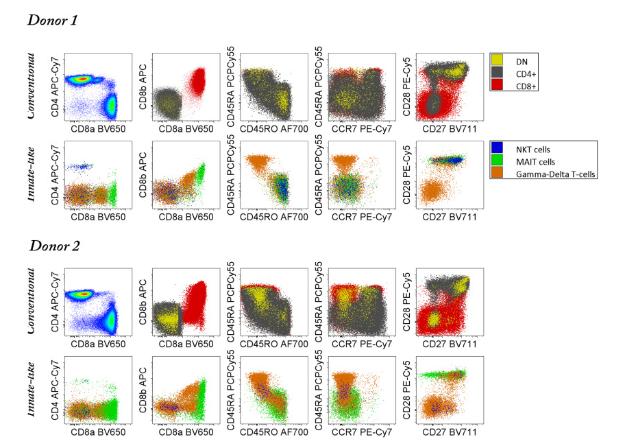 Th Cell Subsets in Differentiated T Cells