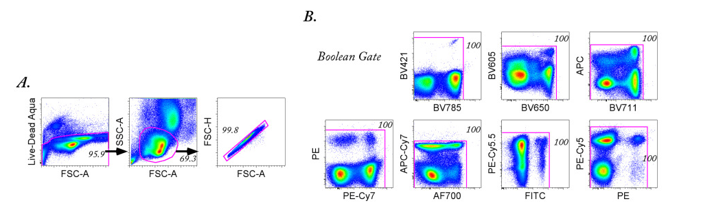 CD3+ T Cell Selection