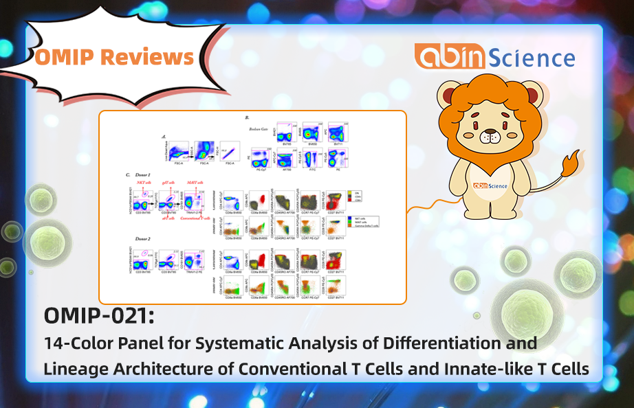 OMIP Reviews | OMIP-021: 14-Color Panel for Systematic Analysis of Differentiation and Lineage Architecture of Conventional and Innate-like T Cells