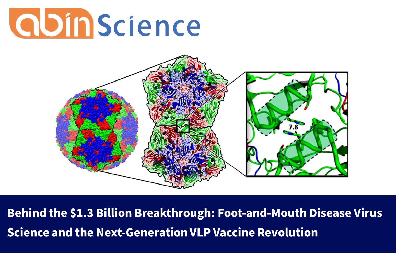 Behind the $1.3 Billion Breakthrough: Foot-and-Mouth Disease Virus Science and the Next-Generation VLP Vaccine Revolution