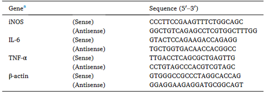 Primer sequences for quantitative real-time PCR
