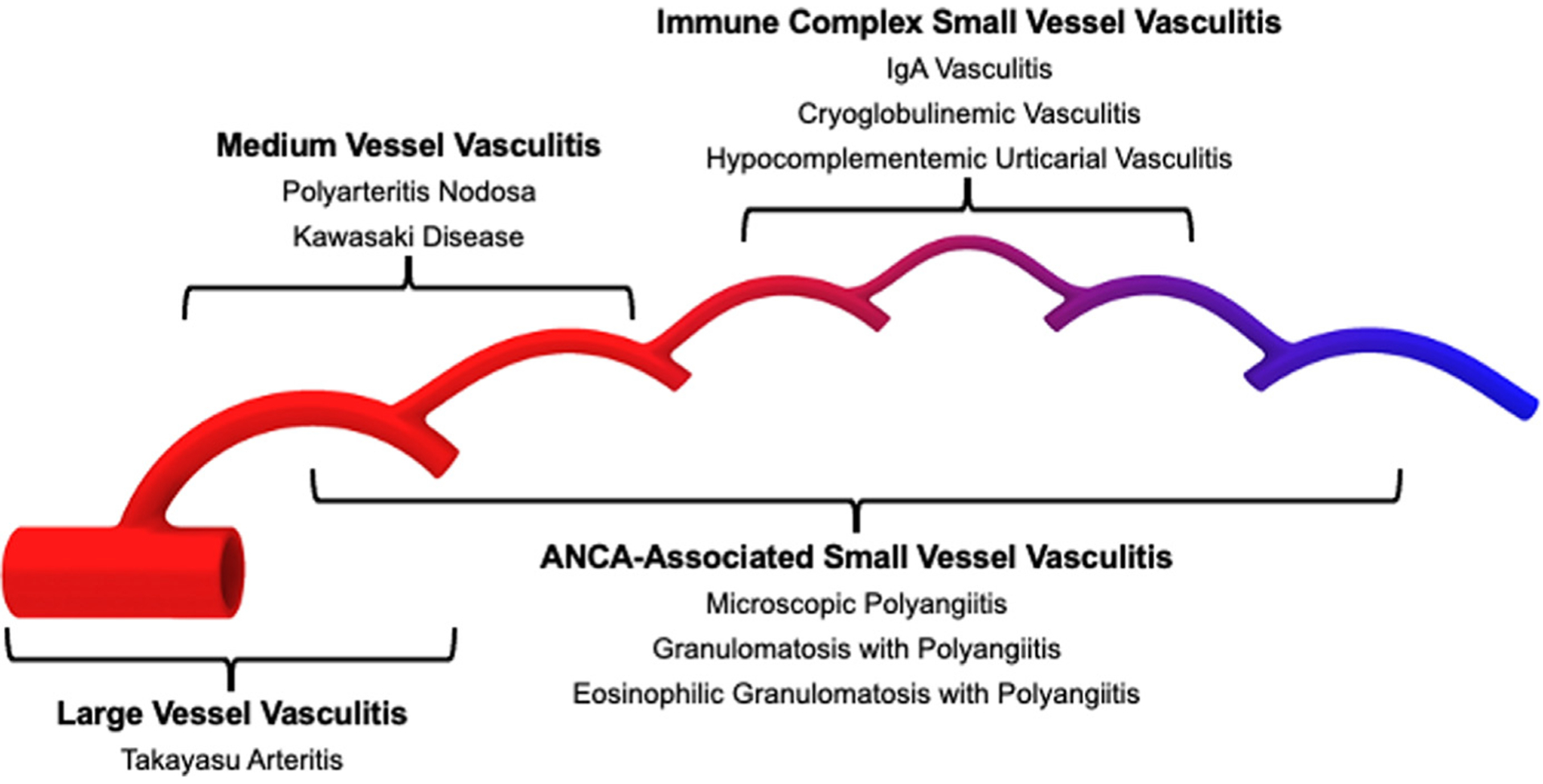 Distribution of vessel involvement
