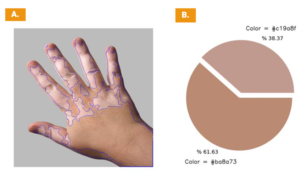 Segmentation and chromaticity output for mobile application users