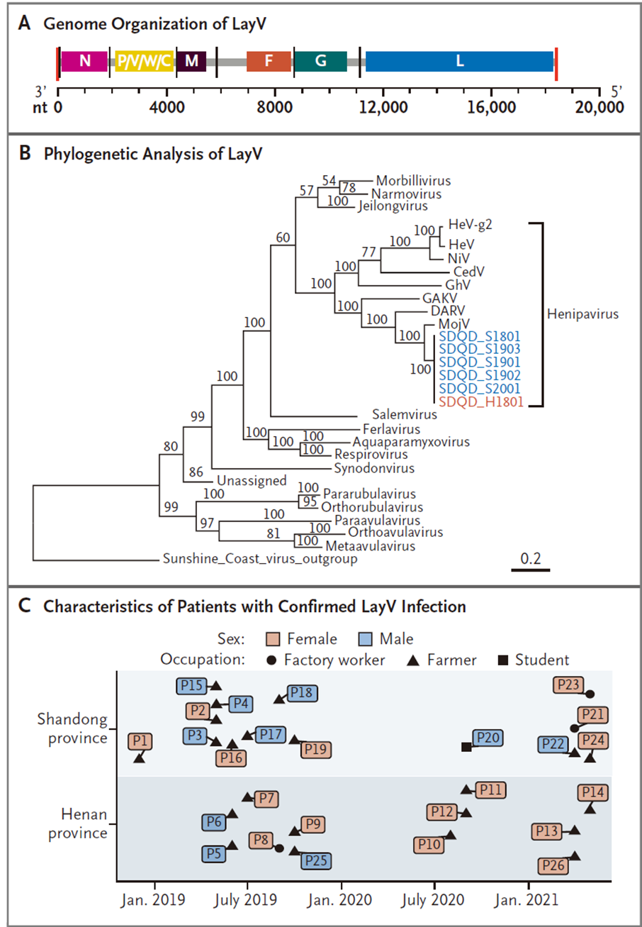Langya virus genetic and epidemiological features part 2