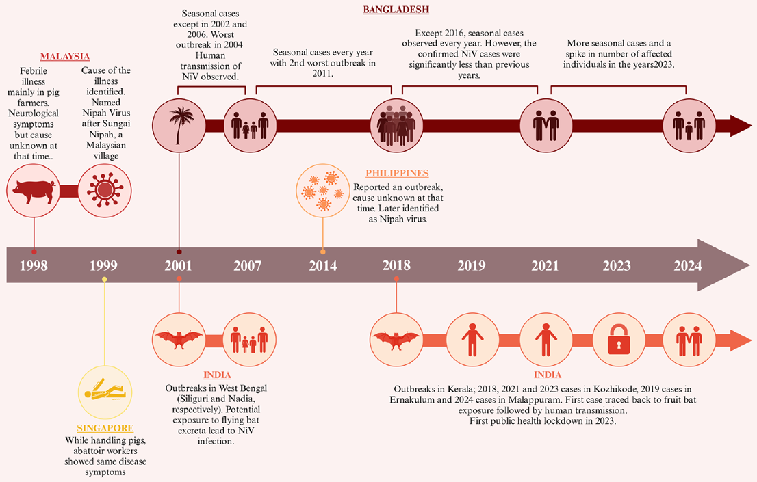 Timeline of Nipah virus outbreaks from 1998 to 2024