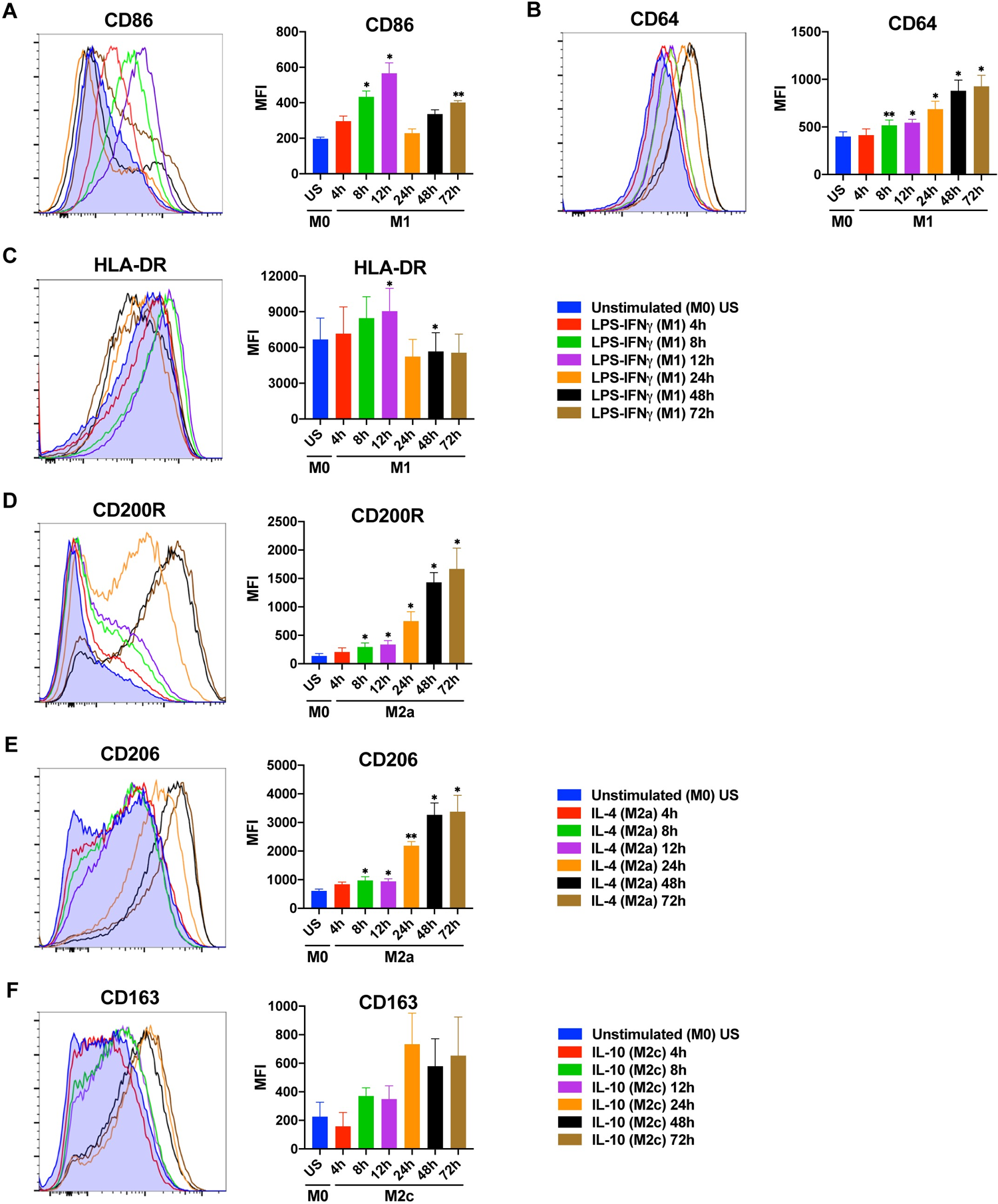 Time depended changes in the expression of macrophage polarization markers at protein