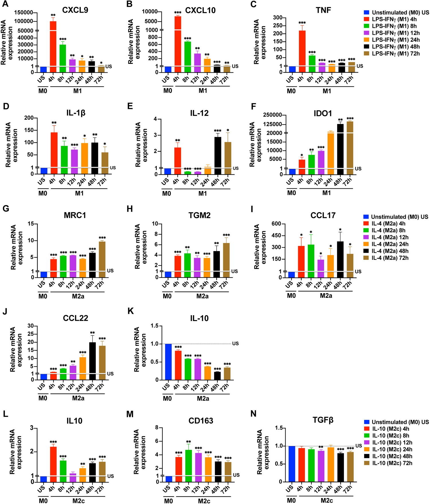 Time depended changes in the expression of macrophage polarization markers at mRNA