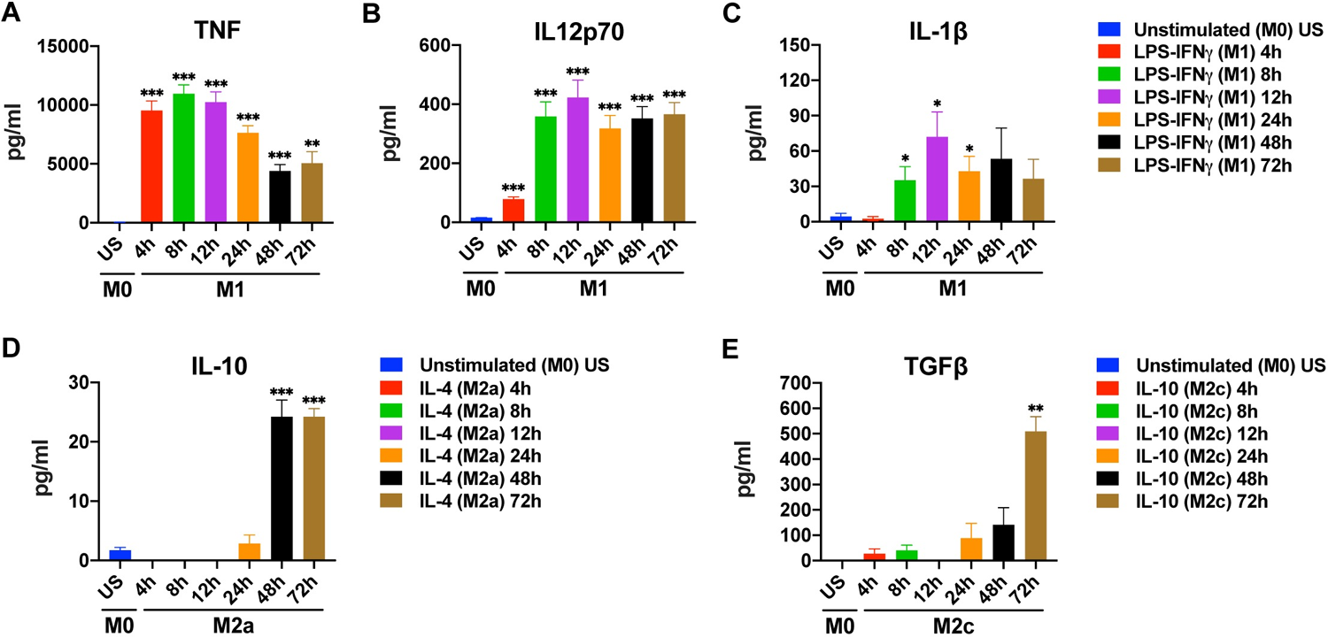 Time depended changes in cytokine production by M1, M2a, and M2c macrophages