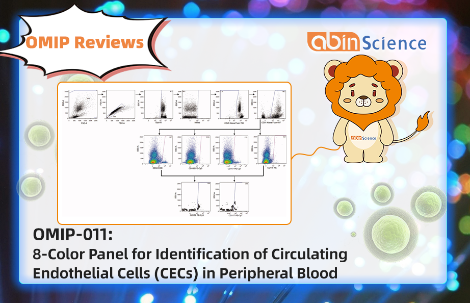 OMIP Reviews | OMIP-011: 8-Color Panel for Identification of Circulating Endothelial Cells (CECs) in Peripheral Blood