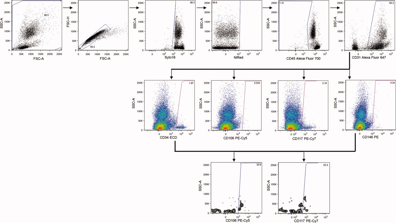 Experimental Results