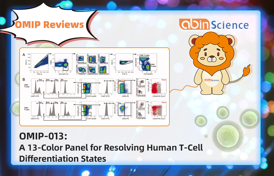 OMIP Reviews | OMIP-013  A 13-Color Panel for Resolving Human T-Cell Differentiation States