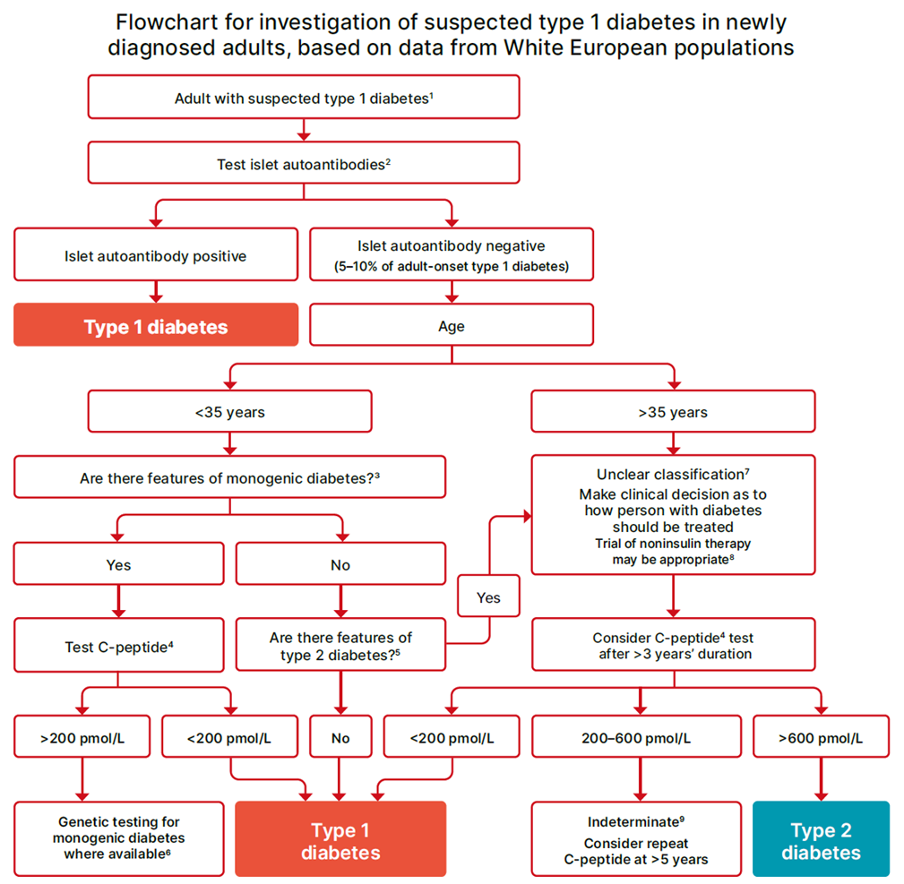 Diagnostic workflow for suspected new-onset type 1 diabetes in adults based on White European population data