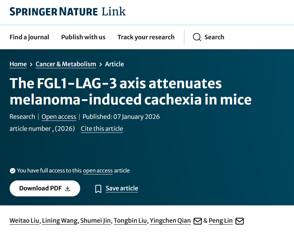 The FGL1-LAG-3 axis attenuates melanoma-induced cachexia in mice
